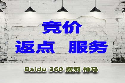 不同领域充值返点模式的差异与共性