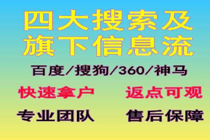 解析某某SEM服务公司的广告投放策略与效果评估