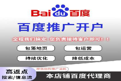 电商平台信息流广告的创意与执行案例分析